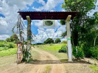 Fazenda/Sítio com 6 Quartos à venda, 60545m² no Centro, São José dos Pinhais