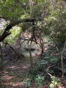 Fazenda/Sítio com 3 Quartos à venda, 200m² no Gleba Fazenda Palhano, Londrina