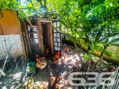 Casa com 4 Quartos à venda, 125m² no Jarivatuba, Joinville