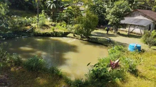 Fazenda/Sítio com 3 Quartos à venda, 1850m² no , Corupá