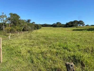 Fazenda/Sítio à venda, 8m² no , Bela Vista de Goiás