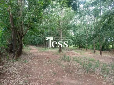 Lote/Terreno à venda, 20000m² no Centro, Mirassolândia