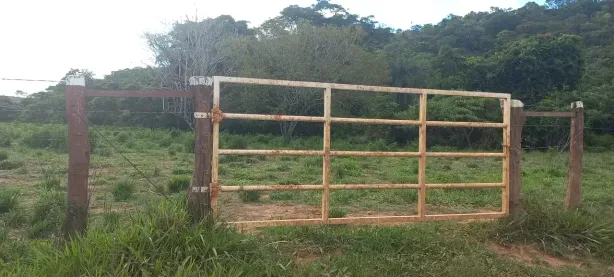 Fazenda/Sítio à venda, 20000m² no Zona Rural, Paraopeba