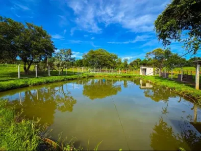 Fazenda/Sítio com 6 Quartos à venda, 44200m² no Álvares Florence, Álvares Florence