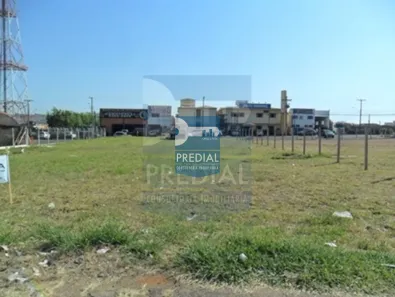 Lote/Terreno para alugar, 360m² no Vila Alpes, São Carlos