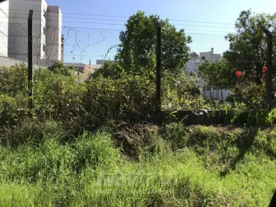 Lote/Terreno à venda, 1350m² no Pio X, Caxias do Sul
