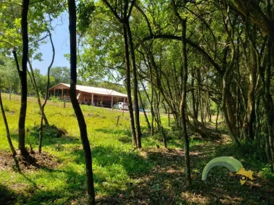 Fazenda/Sítio com 2 Quartos à venda, 232m² no , Lindolfo Collor