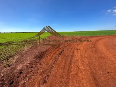 Fazenda/Sítio à venda, 1m² no Área Rural de Avaré, Avaré