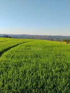 Fazenda/Sítio com 1 Quarto à venda, 1000m² no , Tamarana