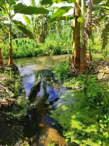 Fazenda/Sítio com 3 Quartos à venda, 280000m² no , Rio do Fogo