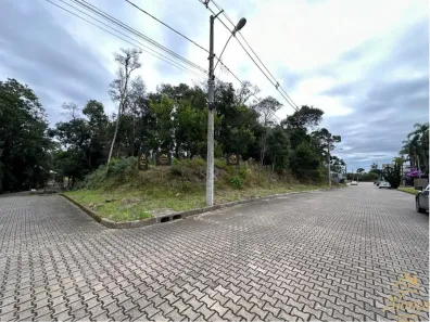 Lote/Terreno à venda, 545m² no Juriti, Nova Petrópolis
