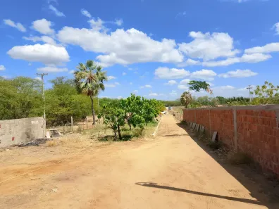Fazenda/Sítio com 3 Quartos à venda, 4800m² no , Petrolina