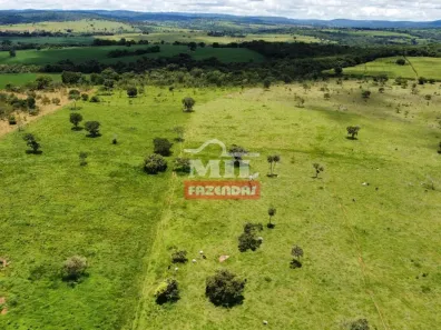 Fazenda/Sítio à venda, 500m² no , Professor Jamil