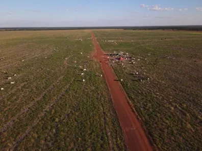 Fazenda/Sítio à venda, 800m² no Porto Seguro, Porto Seguro