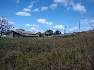 Lote/Terreno à venda, 1000m² no Redenção, Vitória de Santo Antão