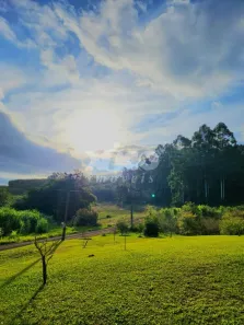 Fazenda/Sítio com 1 Quarto à venda, 250m² no Pinhal Alto, Nova Petrópolis