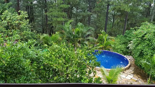 Fazenda/Sítio com 3 Quartos à venda, 211m² no Morada do Bosque, Resende