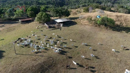 Fazenda/Sítio com 2 Quartos à venda, 130m² no Área Rural de Palmas, Palmas