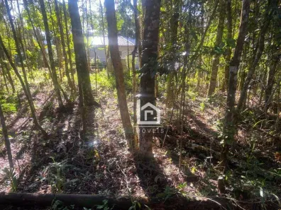 Lote/Terreno à venda, 3000m² no Domingos Martins, Domingos Martins
