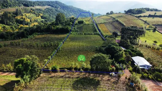 Fazenda/Sítio à venda, 60000m² no , Santa Tereza