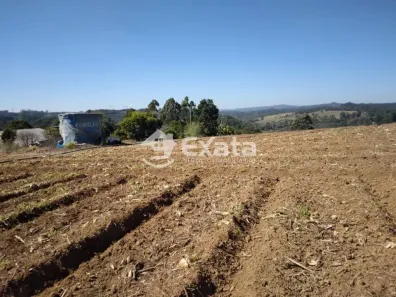 Fazenda/Sítio com 4 Quartos à venda, 200m² no Alto da Piedade, Piedade