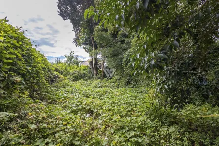 Lote/Terreno à venda, 474m² no Abranches, Curitiba