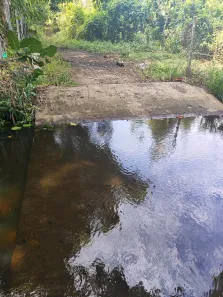 Fazenda/Sítio com 1 Quarto à venda, 1250000m² no , São José de Mipibu