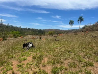 Lote/Terreno à venda, 700m² no Portão, Atibaia