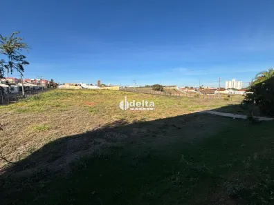 Lote/Terreno para alugar, 6000m² no Granada, Uberlândia