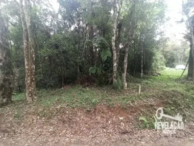 Lote/Terreno à venda, 7058m² no Zacarias, São José dos Pinhais