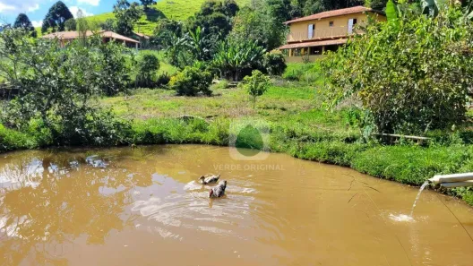Fazenda/Sítio com 6 Quartos à venda, 250m² no , Gonçalves