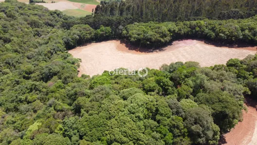 Fazenda/Sítio à venda, 24300m² no Porto das Laranjeiras, Araucária