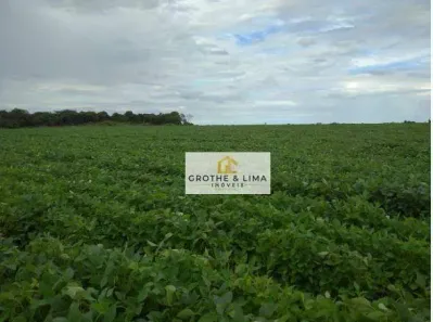 Fazenda/Sítio com 10 Quartos à venda, 700m² no , Silvanópolis