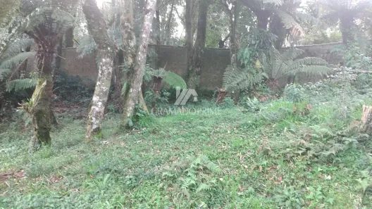 Lote/Terreno à venda, 343m² no Tirol, Gramado