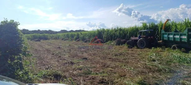 Fazenda/Sítio à venda, 2020000m² no , Altos
