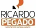 Miniatura da foto de Ricardo Pegado Negócios Imobiliários