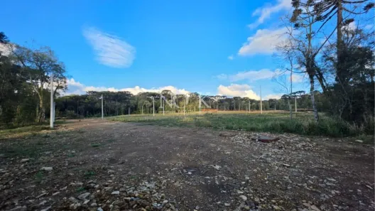 Lote/Terreno à venda, 218m² no Eugênio Ferreira, Canela