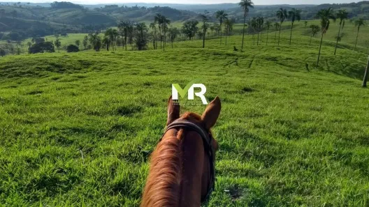 Fazenda/Sítio à venda no , Ipameri