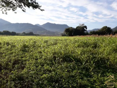 Lote/Terreno à venda, 59950m² no , Nova Petrópolis