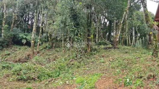 Lote/Terreno à venda, 681m² no Leodoro de Azevedo, Canela