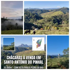 Lote/Terreno à venda, 20000m² no , Santo Antônio do Pinhal