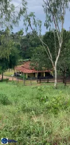 Fazenda/Sítio com 3 Quartos à venda, 11m² no Setor Central, Uruaçu