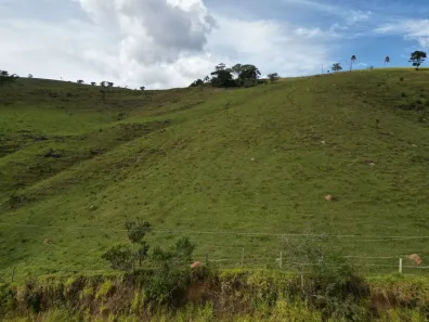 Lote/Terreno à venda, 120000m² no , Itapeva