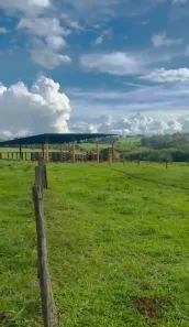 Fazenda/Sítio à venda, 411400m² no Centro, Palestina