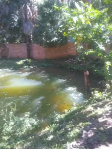Fazenda/Sítio com 3 Quartos à venda, 200m² no Residencial Jardim Canedo II, Senador Canedo
