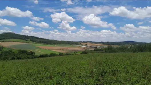 Lote/Terreno à venda, 500m² no Vila São Roque (Caucaia do Alto), Cotia