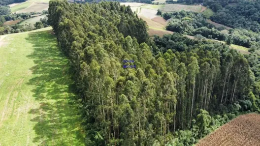 Fazenda/Sítio com 1 Quarto à venda, 24200m² no , Contenda