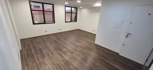 Sala Comercial para alugar, 30m² no Vila Progredior, São Paulo
