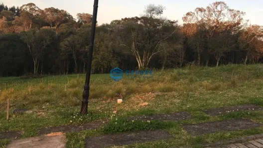 Lote/Terreno à venda, 1038m² no Serrano, Caxias do Sul