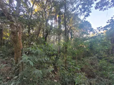 Lote/Terreno à venda, 6000m² no Apolinário, Mairiporã